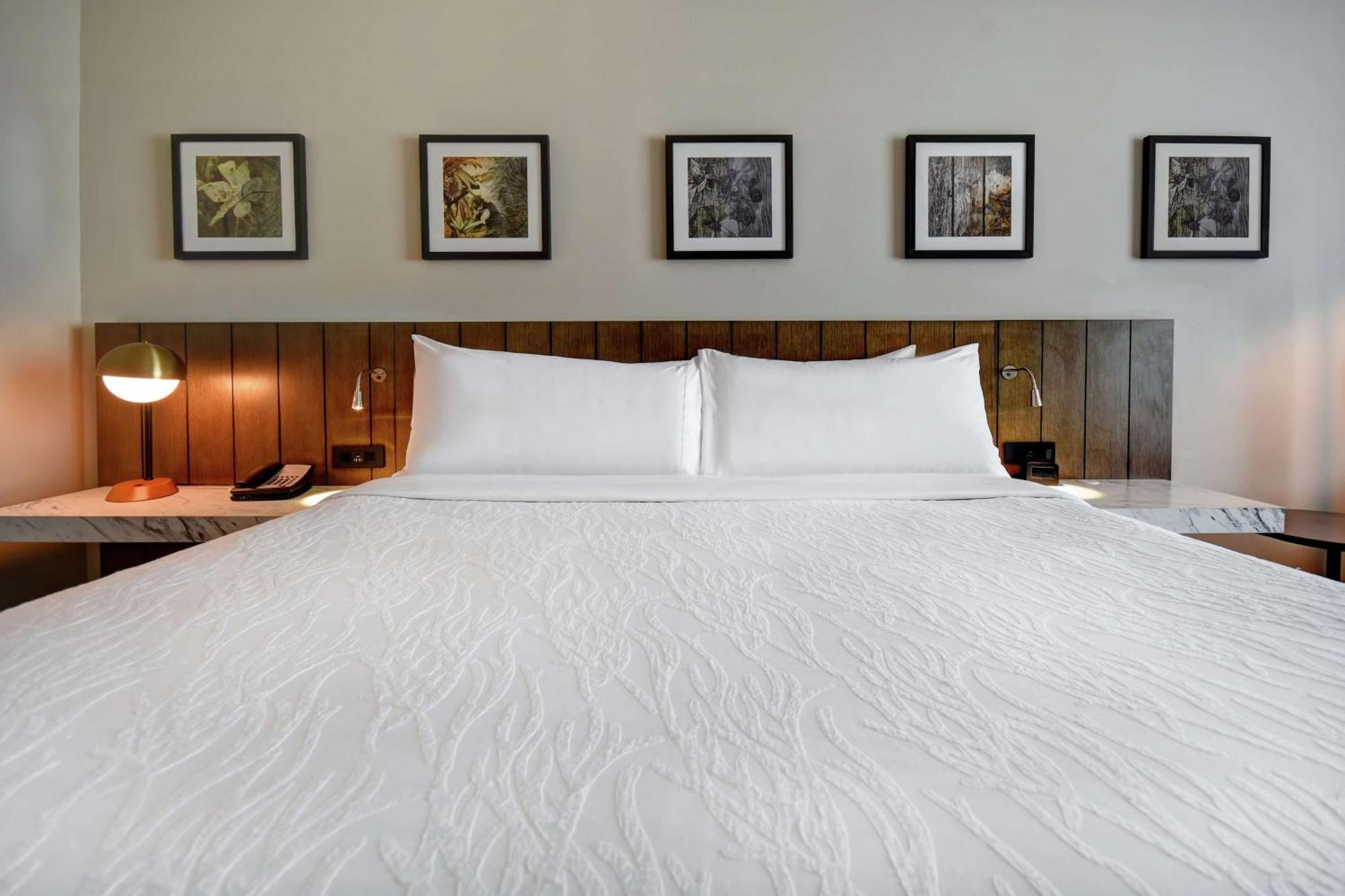 Hilton Garden Inn Jackson Bagian luar foto